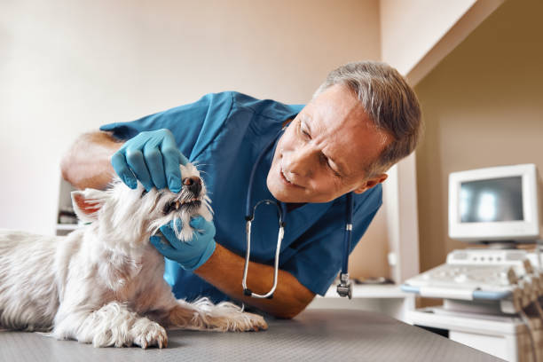 Best Emergency Root Canal Treatment in Cairo, GA